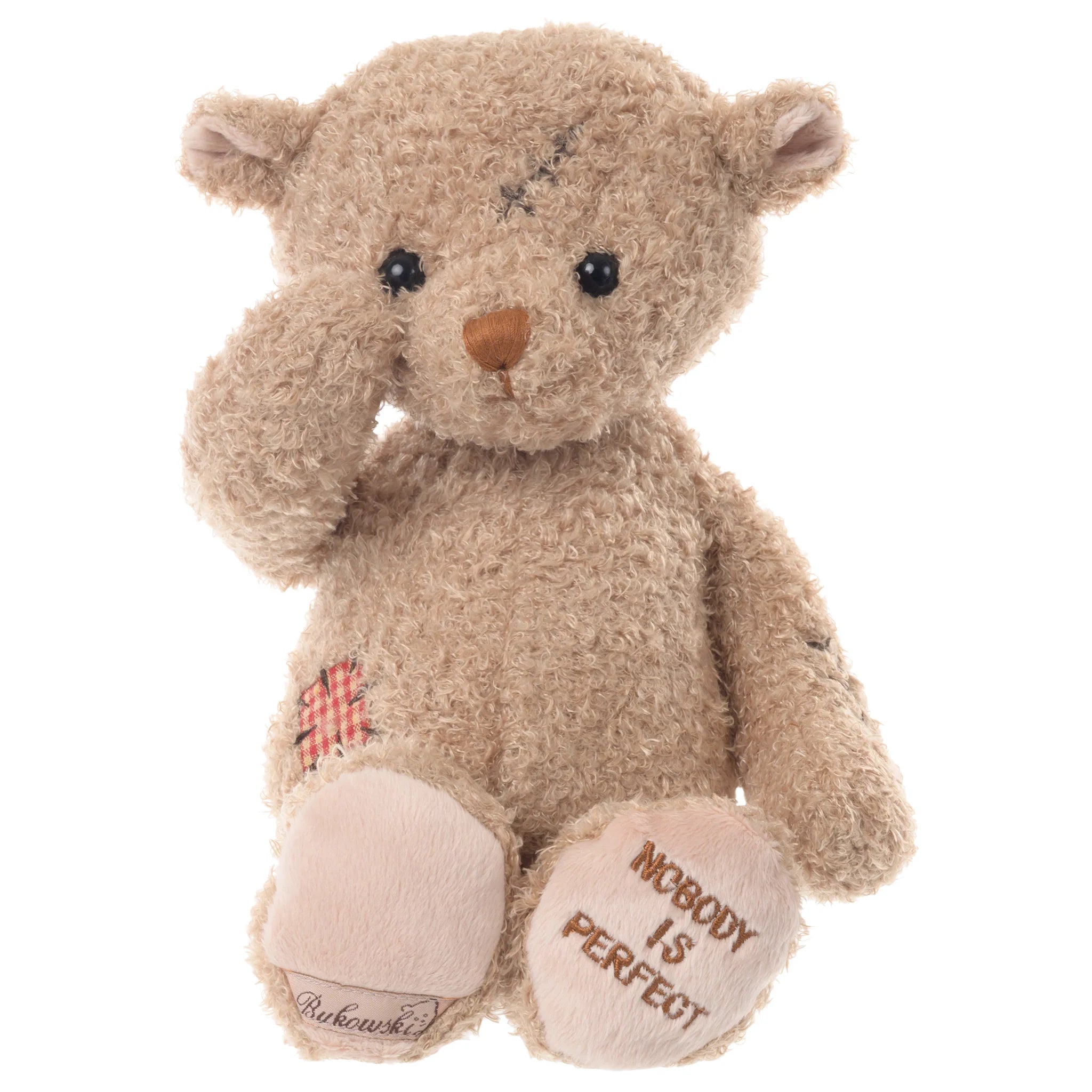 BUKOWSKI BEAR NOBODY IS PERFECT