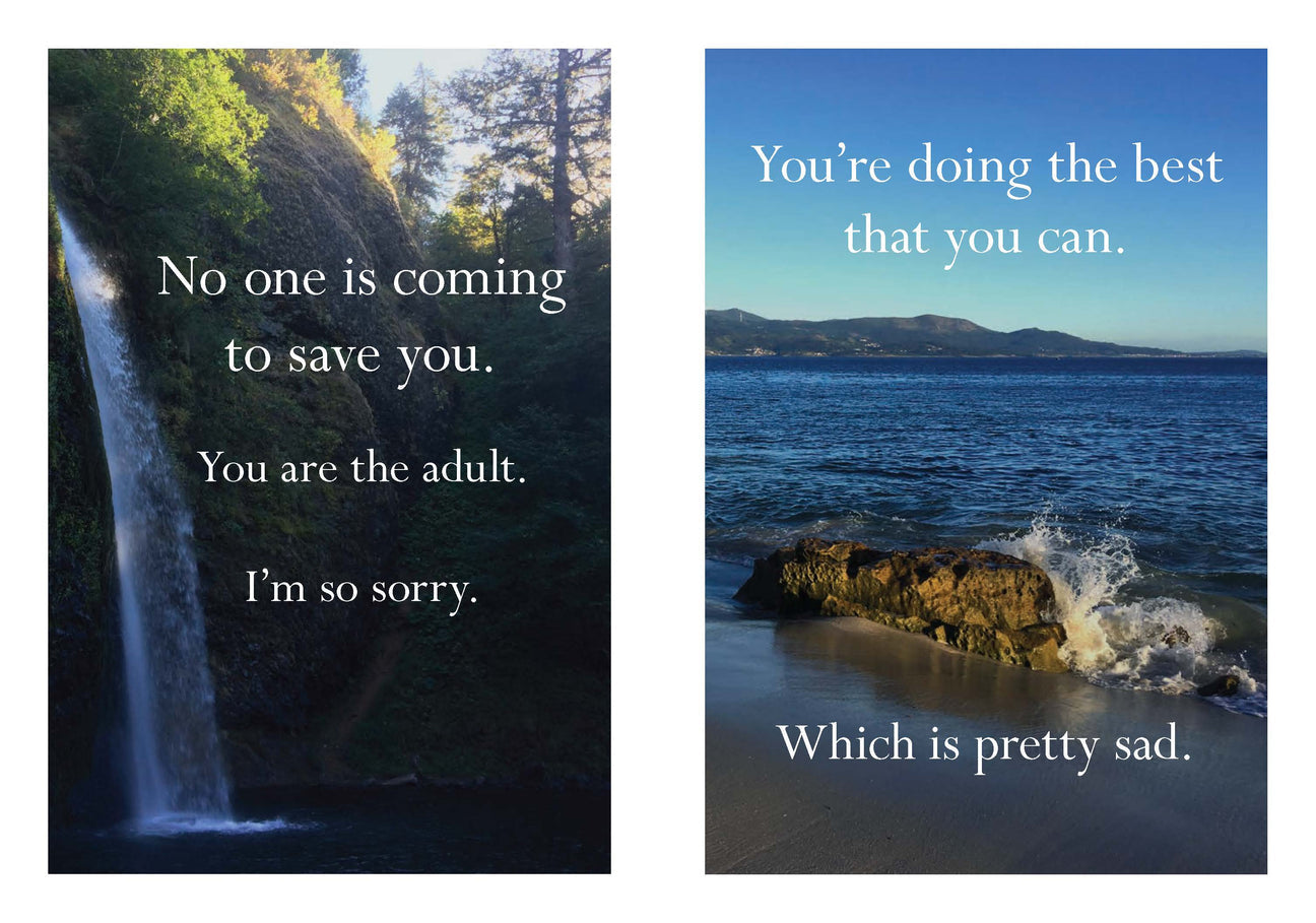 RAINCOAST BOOK DISAPPOINTING AFFIRMATIONS