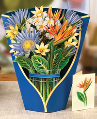 FRESH CARD PLANTS