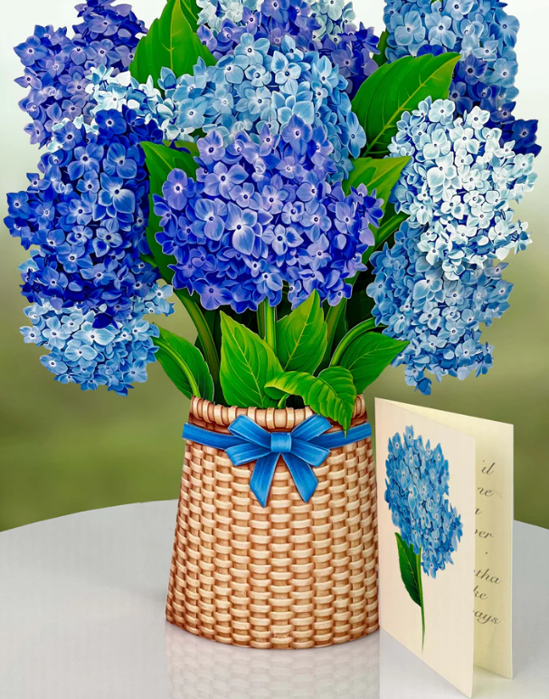 FRESH CARD PLANTS