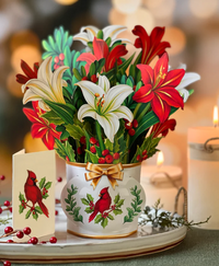 FRESH CARD PLANTS