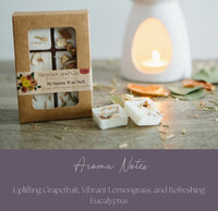 SIMMER & CO. BOTANICAL SCENTED WAX MELT