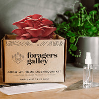 FORAGE MSHRM GRW KT
