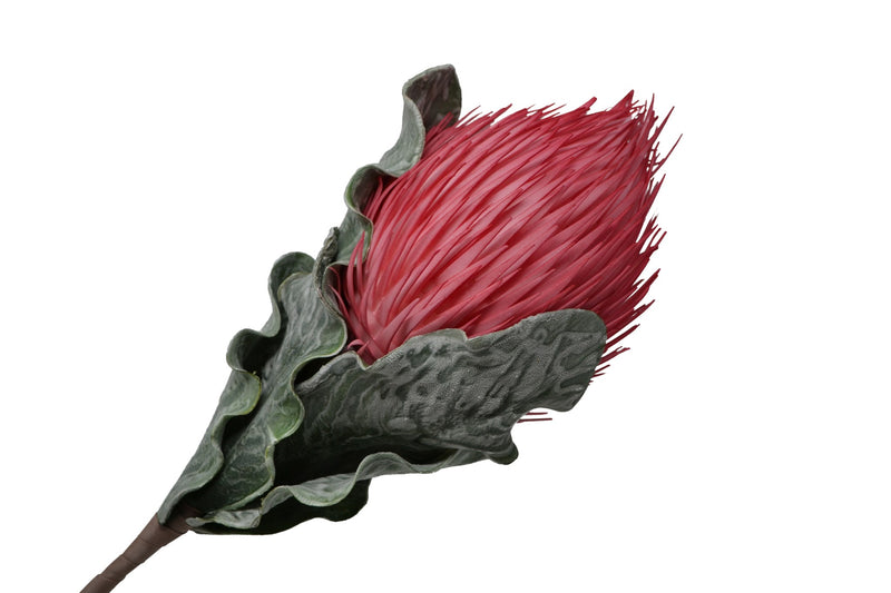 NOST PROTEA FAUX