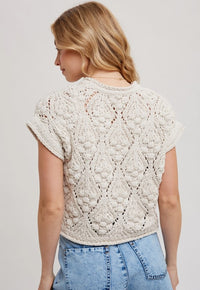 BLUIVY SWEATER KNIT SHORT SLEEVE PULLOVER