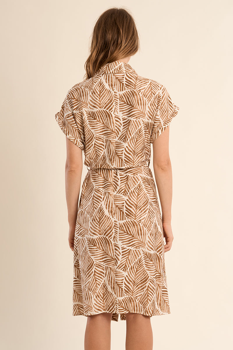 MOLLY DRESS SHORT BELTED BUTTON UP COLLAR