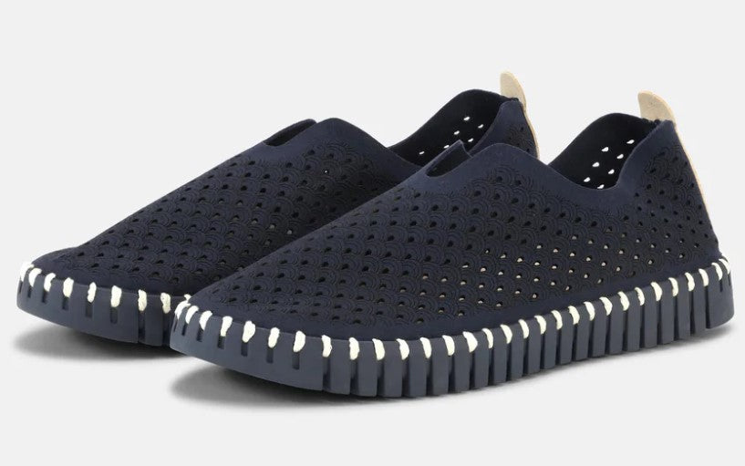 ILSE JACOBSEN TULIP FLATS