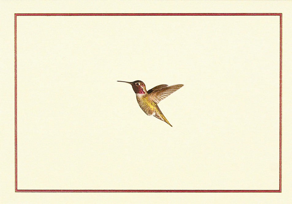PPP NOTE CARDS HUMMINGBIRD FLIGHT