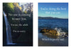 RAINCOAST BOOK DISAPPOINTING AFFIRM