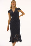 RIBKO DRESS STRTCH LACE TRMPT