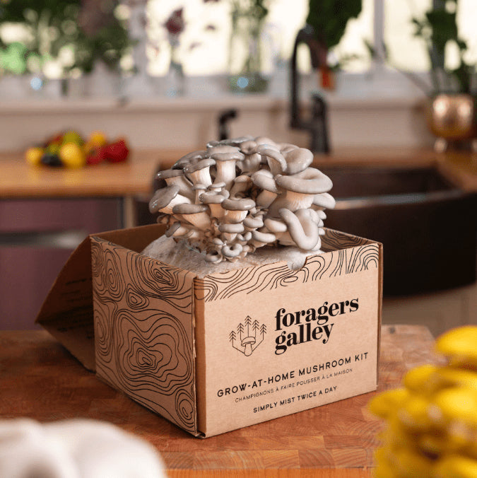 FORAGE MSHRM GRW KT