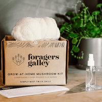 FORAGE MSHRM GRW KT