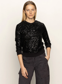 SANCTUARY RELAXED SPARKLE PULLOVER