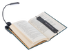 GANZ READING ESSENTIALS