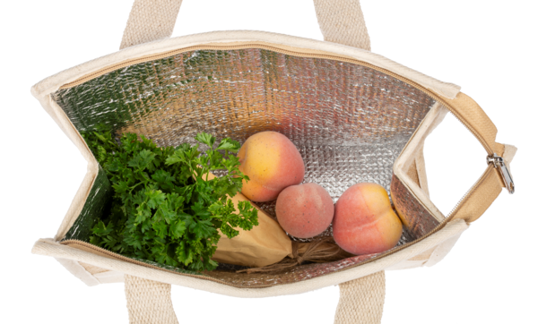 GANZ INSULATED MARKET TOTE