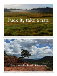 RAINCOAST DISAPPOINTING STICKER BOOK