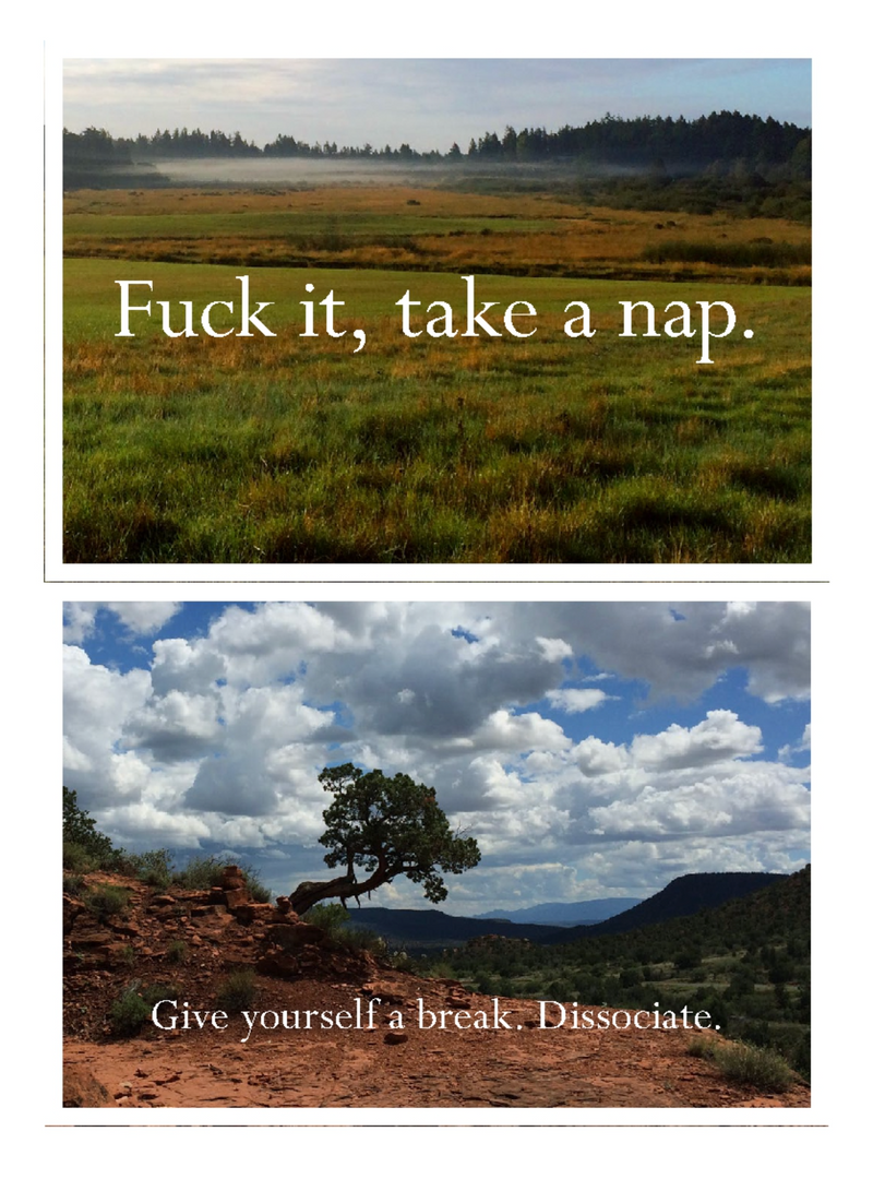 RAINCOAST DISAPPOINTING STICKER BOOK