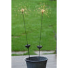 LUMINA LIGHT SOLAR STARBURST